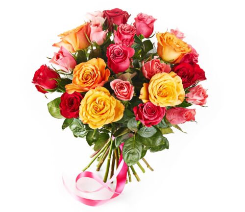 Colourful Celebration